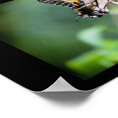 Botervliegen van Louisiana Poster (Hoek)