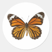 Botervliegenmonarch Ronde Sticker (Voorkant)