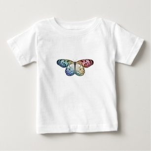 Botervliegenregenboog