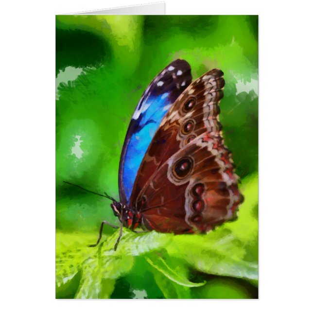 Botervliegenschilderij (Voorkant)