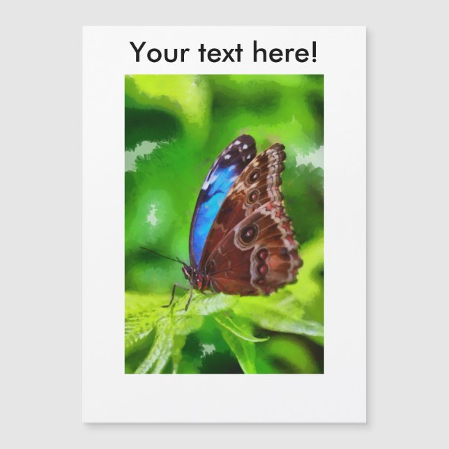 Botervliegenschilderij (Voorkant)