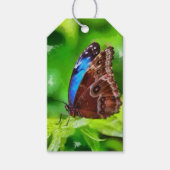 Botervliegenschilderij Cadeaulabel (Voorkant)