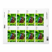 Botervliegenschilderij Etiket (Full Sheet)