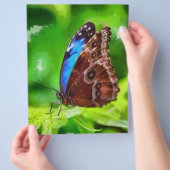 Botervliegenschilderij Flyer (Hand)