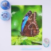 Botervliegenschilderij Flyer (Enkel)