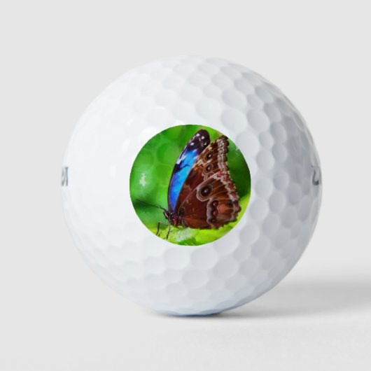 Botervliegenschilderij Golfballen (Voorkant)