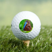Botervliegenschilderij Golfballen (Insitu Shirt)