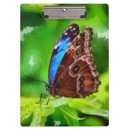Botervliegenschilderij Klembord (Voorkant)