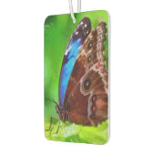 Botervliegenschilderij Luchtverfrisser (Links)