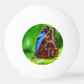 Botervliegenschilderij Pingpongbal (Voorkant)
