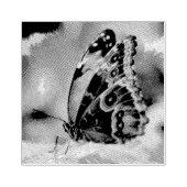 Botervliegenschilderij Rubberstempel (Afrduk)