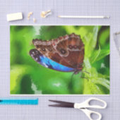 Botervliegenschilderij Tissuepapier (Craft)