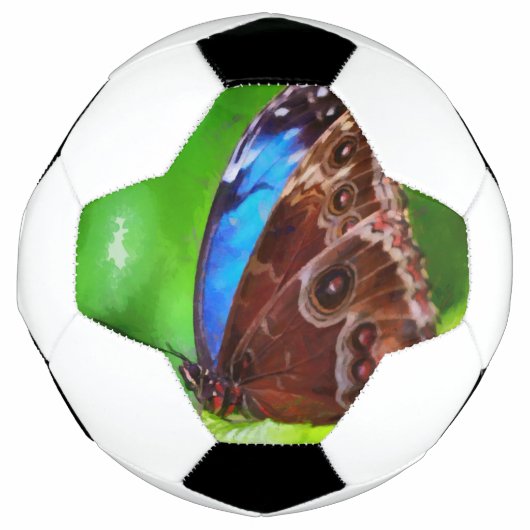Botervliegenschilderij Voetbal (Voorkant)