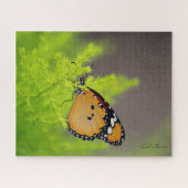 Botervliegenserie - Afrikaanse monboogvlinder Legpuzzel (Horizontaal)