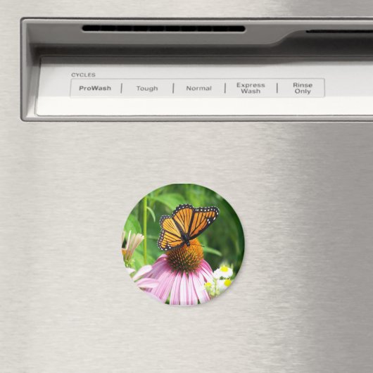 Botervliegenventilator Magnet (Insitu (Vaatwasser))