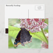 Botervliegenvoer Briefkaart (Voorkant / Achterkant)