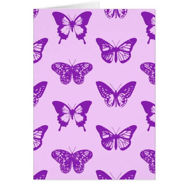 Botervliegers, orchidee, roze en violet (Voorkant)