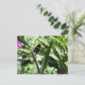 Botervliegfotografie Briefkaart (Staand voorkant)
