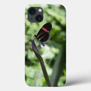 Botervliegfotografie Case-Mate iPhone Case