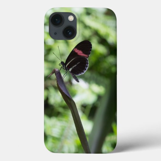 Botervliegfotografie Case-Mate iPhone Case (Achterkant)