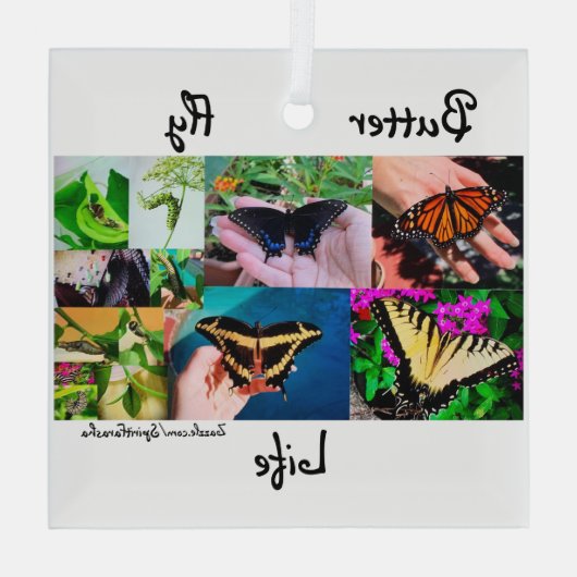 Botervliegleven Glas Ornament (Achterkant)