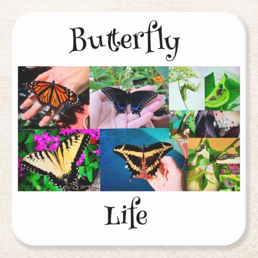 Botervliegleven Kartonnen Onderzetters (Voorkant)