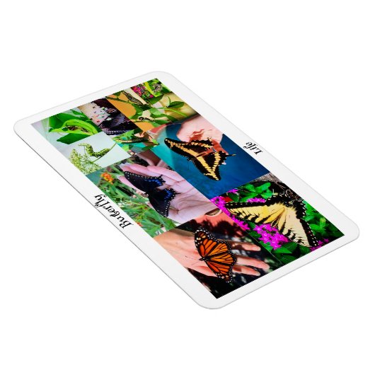 Botervliegleven Magneet (Rechterzijde)