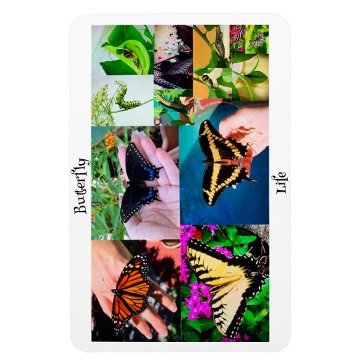 Botervliegleven Magneet (Verticaal)