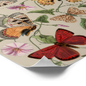 Botervliegmot Natuur Tekening antiek waterverf Poster (Hoek)