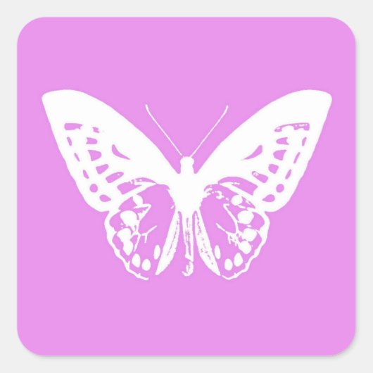 Botervliegschets, orchidee en wit vierkante sticker (Voorkant)