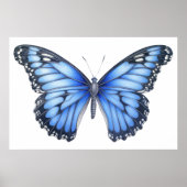 Botervliegschets Poster (Voorkant)