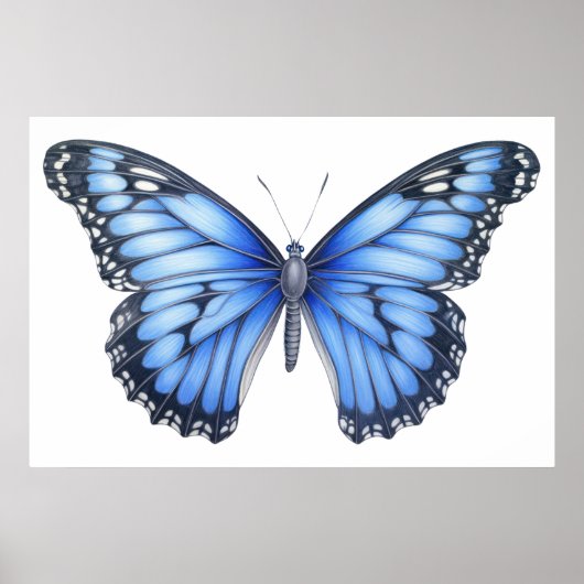 Botervliegschets Poster (Voorkant)