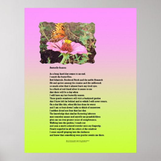 Botervliegseizoen Poster (Voorkant)