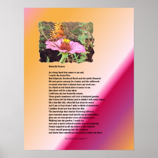 Botervliegseizoen - woestijn poster (Voorkant)