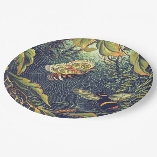 Botervliegspiderweb bij tuin papieren bordje (Gekanteld)