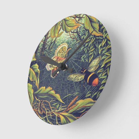 Botervliegspiderweb bij  tuin ronde klok (Hoek)