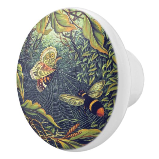 Botervliegspiderweb bijen tuinkunst keramische knop (Rechts)