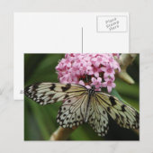 Botervliegvloeren 2 briefkaart (Voorkant / Achterkant)