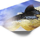 Botervliegvrijheid Foto Afdruk (Hoek)