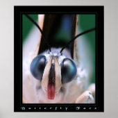 Botervliegzijde Poster (Voorkant)