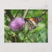 Botervliesbedekking met paarse dichting briefkaart (Voorkant)