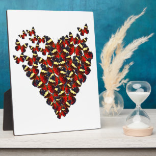 Botervlieshart Fotoplaat