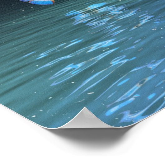 Botervlieskristalboom Poster (Hoek)