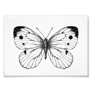 Botervlinder Foto Afdruk