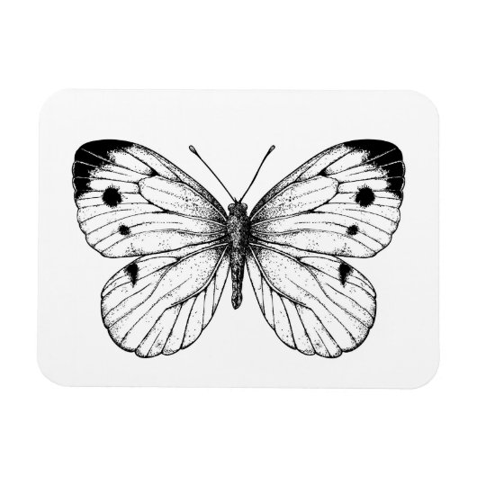 Botervlinder Magneet (Horizontaal)