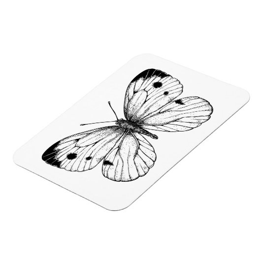 Botervlinder Magneet (Linkerzijde)