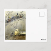 "Bother the Gnat" door A Duncan Carse Briefkaart (Achterkant)