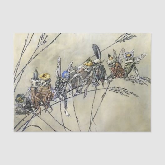 "Bother the Gnat" door A Duncan Carse Tissuepapier (Voorkant)