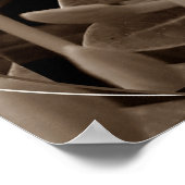 Botões Poster (Hoek)