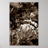 Botões Poster (Voorkant)